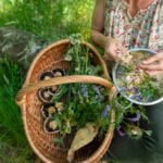 Cuisiner avec des Herbes Sauvages : Une Explosion de Saveurs