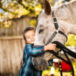 Les bases de la thérapie par le massage pour les chevaux
