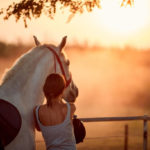 Comment établir une relation de confiance avec votre cheval dès le départ