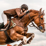 Astuces pour la prévention des blessures chez les chevaux athlètes