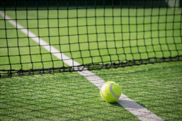 Maintenance court de tennis en Gazon synthétique Colombes
