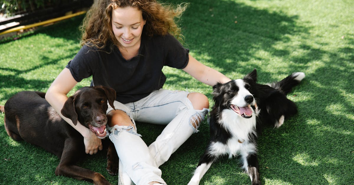 découvrez un univers d'épanouissement et de plaisir pour les adultes, où chaque expérience est conçue pour éveiller vos sens et enrichir votre vie intime. explorez des conseils, des astuces et des produits qui vous aideront à atteindre un nouvel apogée de satisfaction.