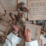 Découvrez les collections élégantes sur Fine Lingerie Store