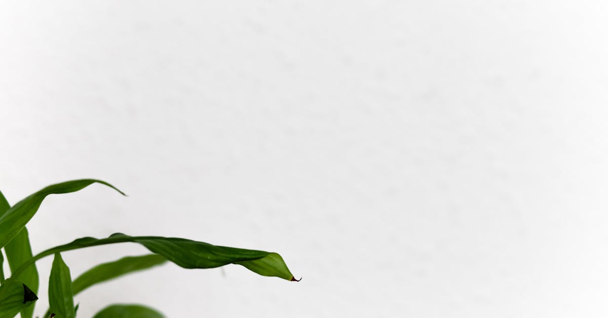 découvrez notre blog érotique pour explorer vos fantasmes et désirs. plongez dans des articles captivants, des conseils audacieux et des récits sensuels qui éveilleront votre curiosité et enrichiront votre vie intime.