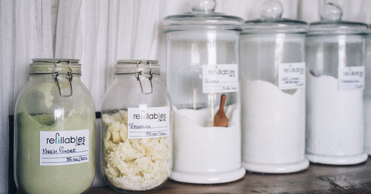 découvrez l'art de vivre au naturel avec nos conseils et astuces sur le mode de vie sain, l'écologie et l'harmonie avec la nature. transformez votre quotidien en adoptant des pratiques durables et respectueuses de l'environnement.