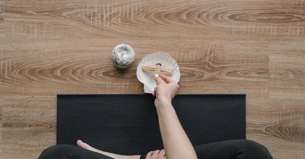 découvrez l'art de vivre naturellement avec des conseils et astuces pour une vie saine, respectueuse de l'environnement et harmonieuse. transformez votre quotidien grâce à des pratiques durables et un retour aux sources.