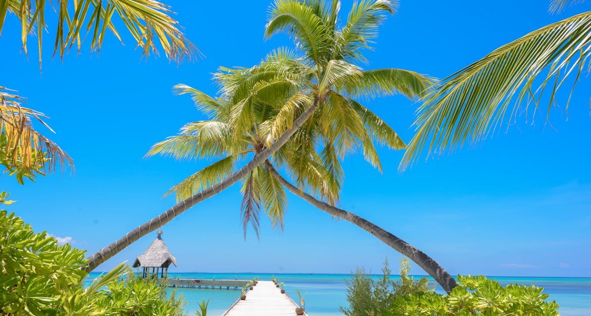 découvrez 'paradise', un véritable havre de paix où la beauté naturelle rencontre la sérénité. plongez dans un monde d'émerveillement et d'évasion, où chaque recoin invite à la détente et à l'exploration.