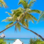 Découvrez l’univers envoûtant de My Paradies : Inspirations pour un quotidien paradisiaque