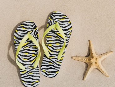 découvrez notre sélection d'accessoires de plage indispensables pour profiter pleinement de votre été. que vous cherchiez des serviettes, des parasols, des chaises pliantes ou des sacs étanches, nous avons tout ce qu'il vous faut pour passer des journées inoubliables au bord de l'eau.