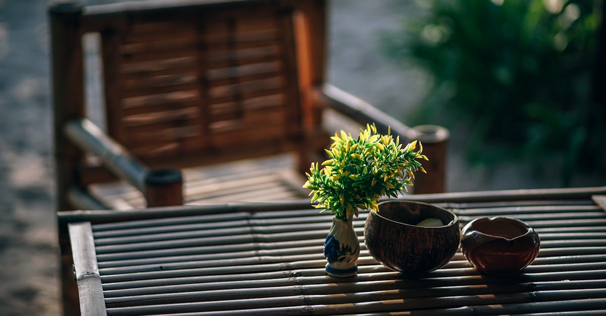 découvrez notre collection de vases décoratifs, parfaits pour ajouter une touche d'élégance à votre intérieur. trouvez le vase idéal qui sublimera votre décoration et mettra en valeur vos fleurs.