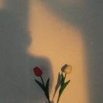 Idées originales pour sublimer votre intérieur avec un vase de décoration