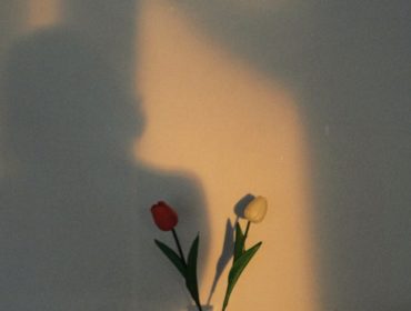 découvrez notre vase décoratif, une pièce unique qui ajoutera une touche d'élégance et de style à votre intérieur. parfait pour sublimer vos fleurs ou en tant qu'objet de décoration à part entière.