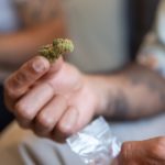 Les dernières tendances santé à découvrir sur Sitedelaship