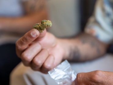 découvrez les dernières tendances en matière de santé, incluant bien-être, nutrition et innovations médicales pour rester en forme et améliorer votre qualité de vie au quotidien.