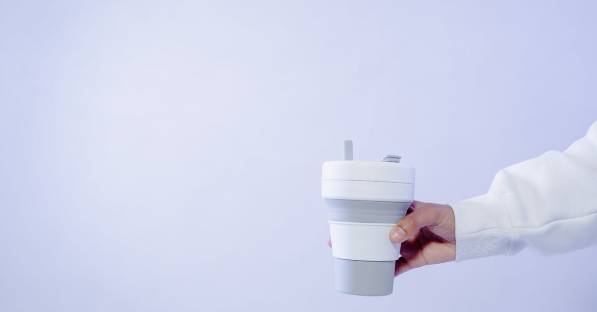 découvrez les dernières innovations durables qui transforment nos modes de vie et favorisent un avenir plus respectueux de l’environnement. explorez des solutions écologiques et des technologies responsables pour un monde meilleur.