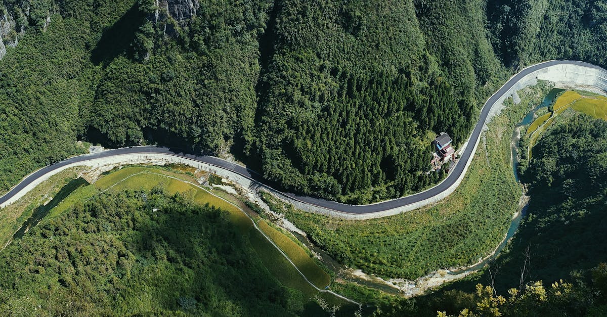 découvrez twity, la plateforme innovante pour partager vos idées, suivre l’actualité et échanger facilement avec une communauté dynamique. rejoignez-nous dès maintenant !